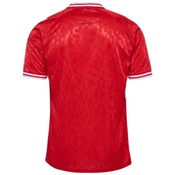 CAMISETA DINAMARCA I EURO 2024 HOMBRE